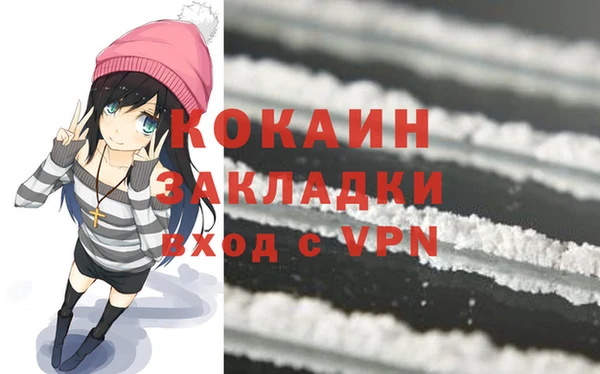 винт Пересвет