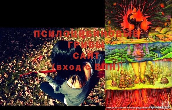 меф Переславль-Залесский