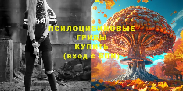меф Переславль-Залесский