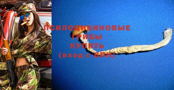 меф Переславль-Залесский