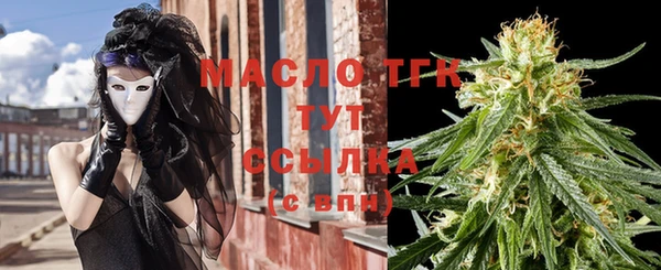 винт Пересвет