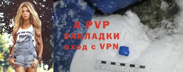 винт Пересвет